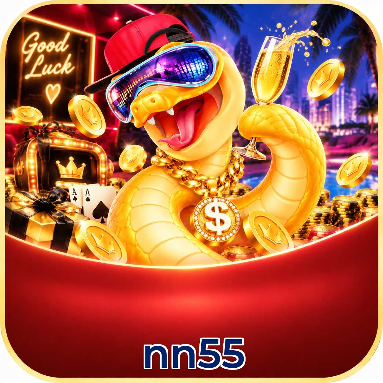 nn55