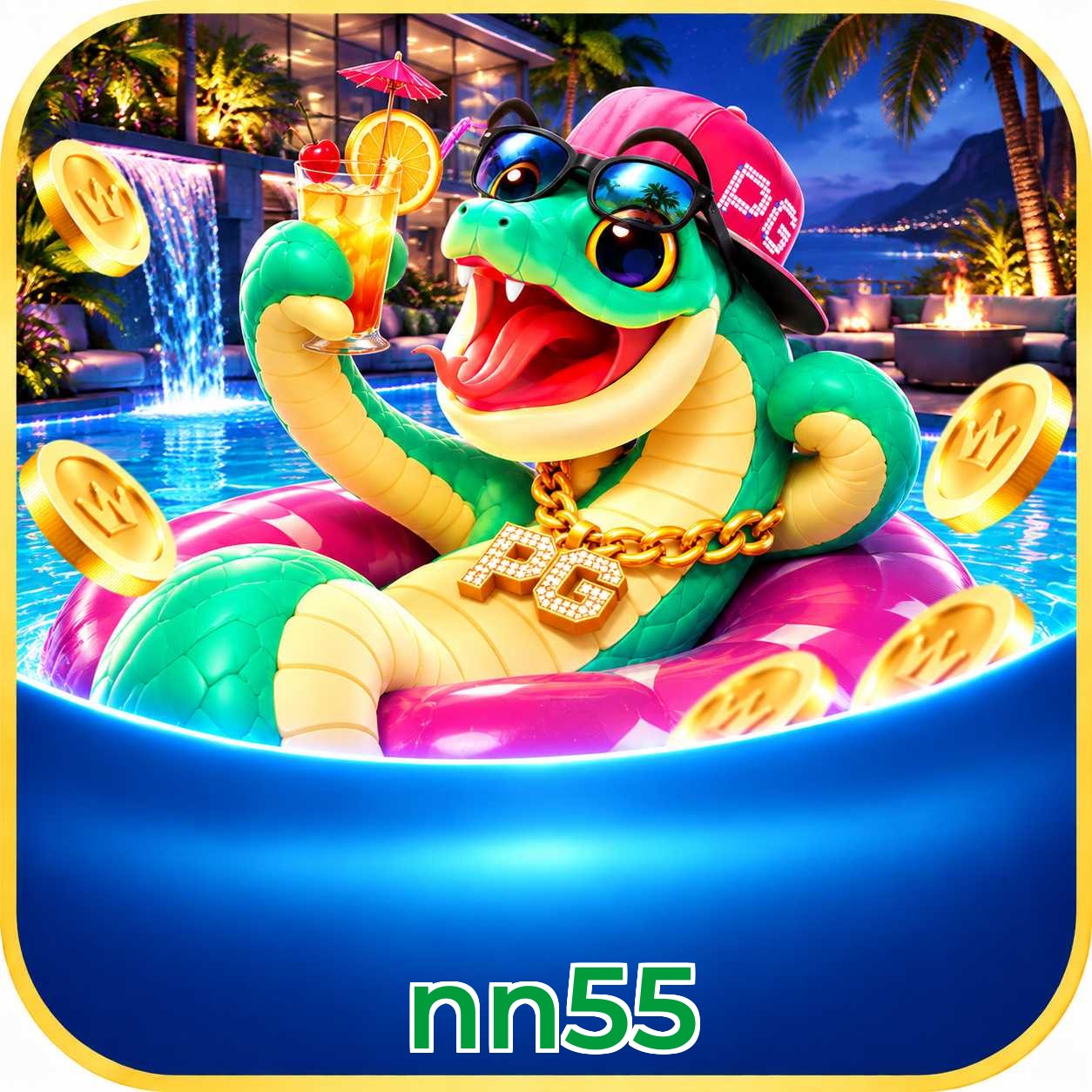 nn55